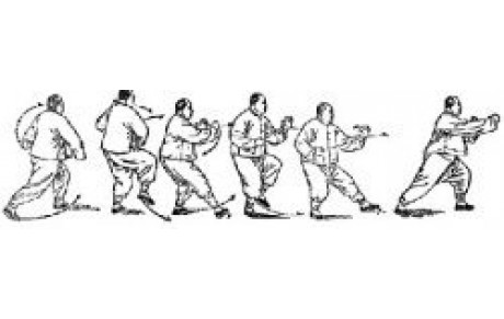 STAGE DE TAIJI QUAN TIAN